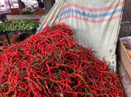 Harga Cabai Merah di Bengkulu Tembus Rp60 Ribu per Kilogram Awal Tahun 2025
