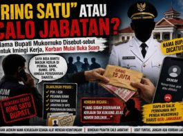 “Ring Satu” atau Calo Jabatan? Nama Bupati Mukomuko Dicatut Jual Beli Pekerjaan, Korban Mulai Buka Suara