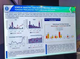 Terungkap di BRIEF 2026: Investasi Bengkulu Tembus Rp2,85 Triliun, India Borong US$21,97 Juta